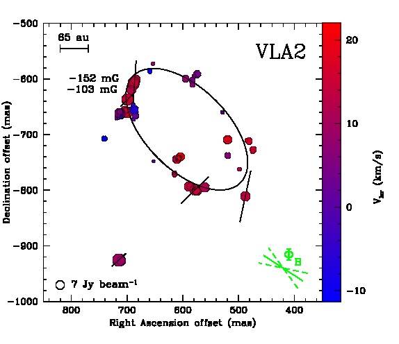 figure_1b.jpg figure_1b.jpg