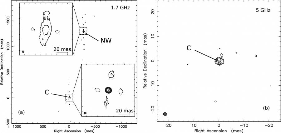 stx160fig3.jpeg stx160fig3.jpeg